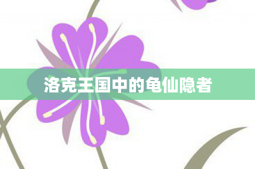 洛克王国中的龟仙隐者图片