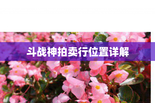 斗战神拍卖行位置详解图片