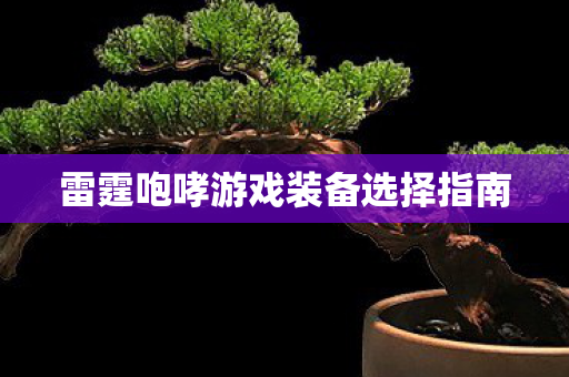 雷霆咆哮游戏装备选择指南图片