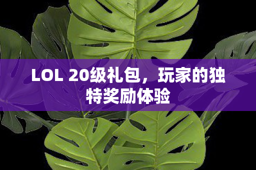 LOL 20级礼包图片