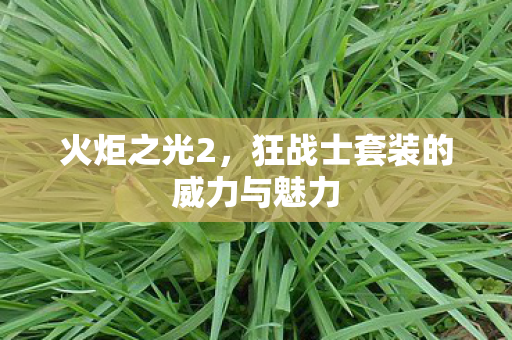 狂战士套装的威力与魅力图片