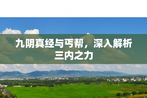 深入解析三内之力图片