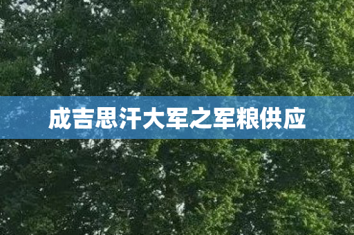 成吉思汗大军之军粮供应图片