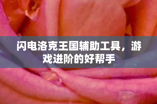 闪电洛克王国辅助工具图片