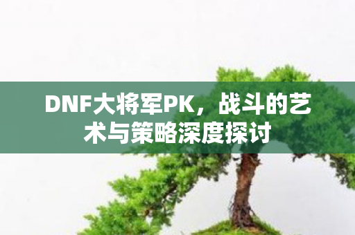 战斗的艺术与策略深度探讨图片