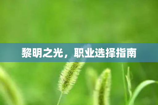 职业选择指南图片