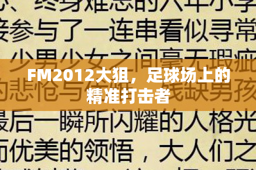 足球场上的精准打击者图片