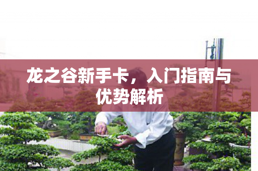入门指南与优势解析图片