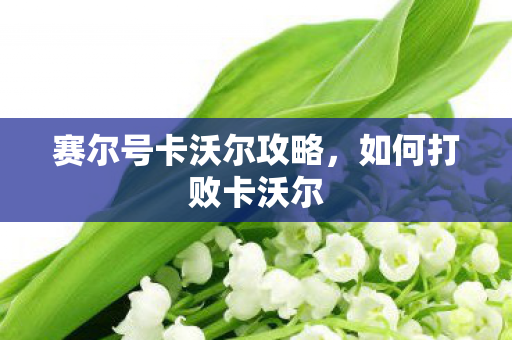 赛尔号卡沃尔攻略图片