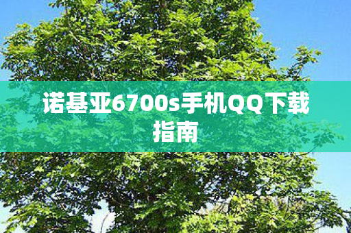 诺基亚6700s手机QQ下载指南图片