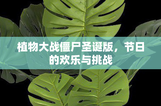 植物大战僵尸圣诞版图片