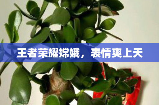 王者荣耀嫦娥图片