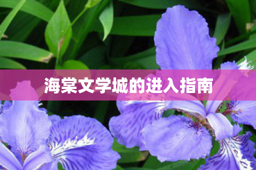 海棠文学城的进入指南图片