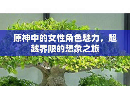 原神中的女性角色魅力图片