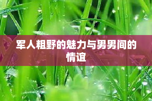 军人粗野的魅力与男男间的情谊图片