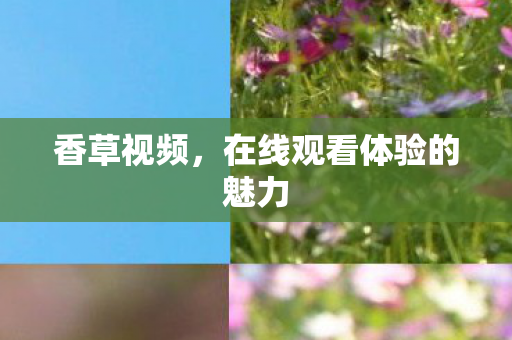 在线观看体验的魅力图片