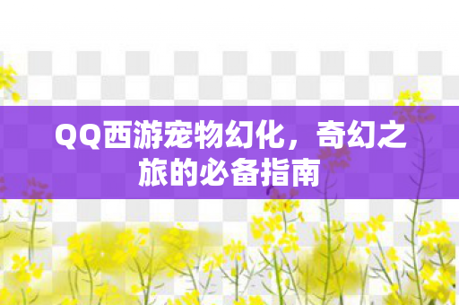奇幻之旅的必备指南图片
