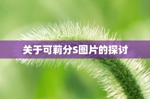 关于可莉分S图片的探讨图片