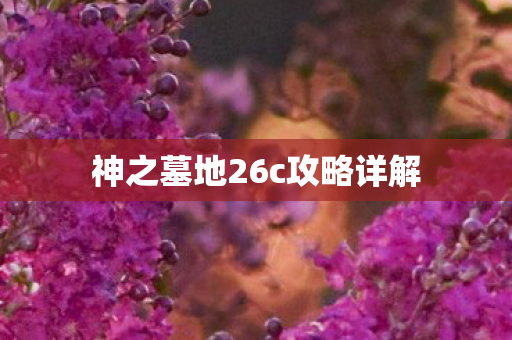 神之墓地26c攻略详解图片