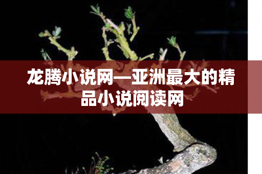 亚洲最大的精品小说阅读网图片