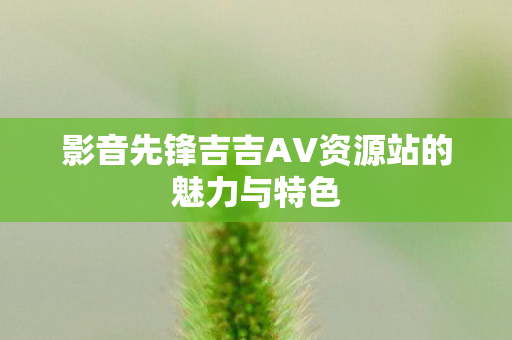 影音先锋吉吉AV资源站的魅力与特色图片