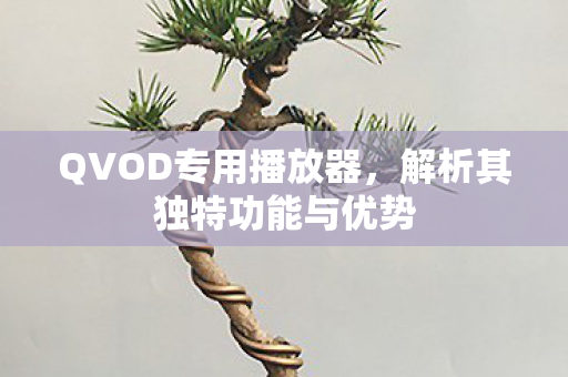 解析其独特功能与优势图片