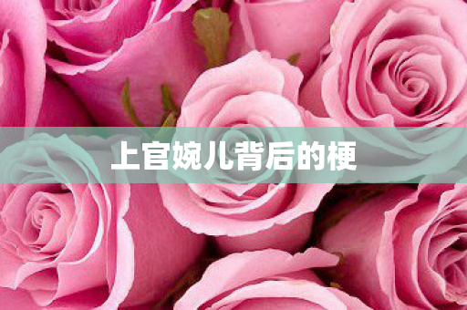 上官婉儿背后的梗图片
