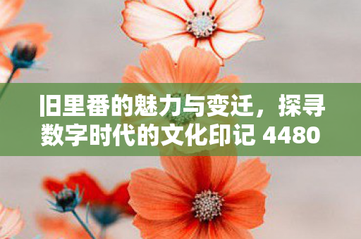 探寻数字时代的文化印记 4480图片