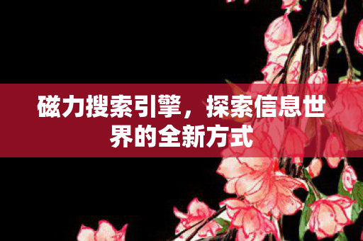 探索信息世界的全新方式图片