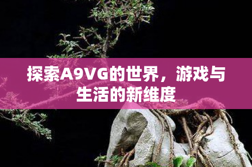 探索A9VG的世界图片