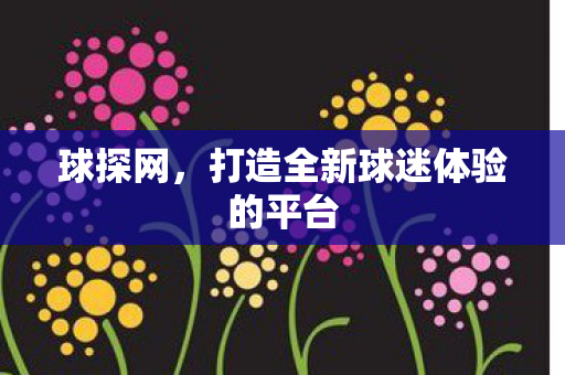 打造全新球迷体验的平台图片