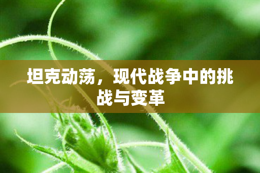 现代战争中的挑战与变革图片