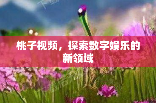 探索数字娱乐的新领域图片