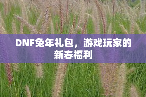游戏玩家的新春福利图片