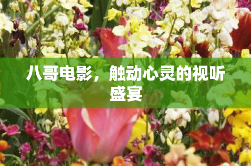 触动心灵的视听盛宴图片