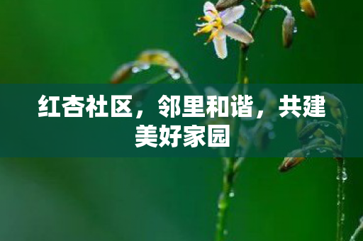 共建美好家园图片