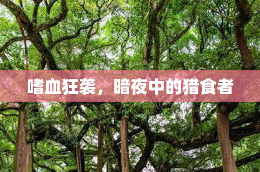暗夜中的猎食者图片