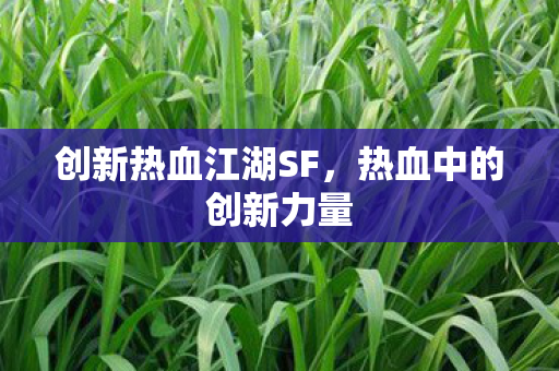 创新热血江湖SF图片