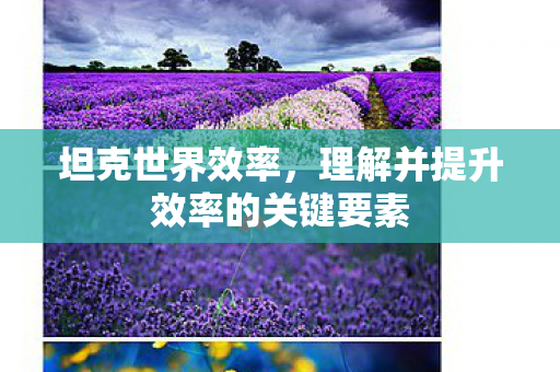 理解并提升效率的关键要素图片