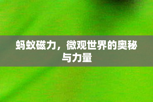 微观世界的奥秘与力量图片