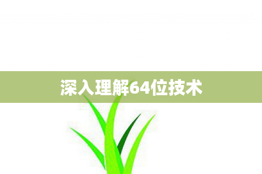 深入理解64位技术图片
