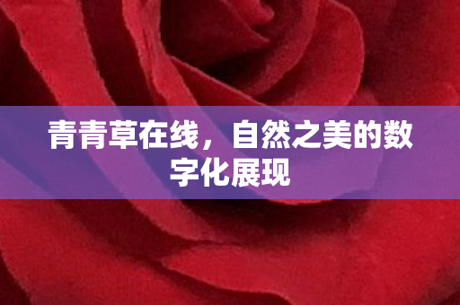 自然之美的数字化展现图片