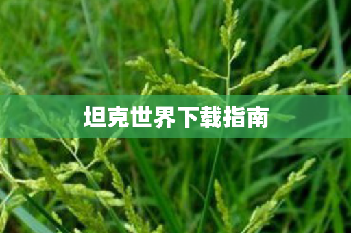 坦克世界下载指南图片