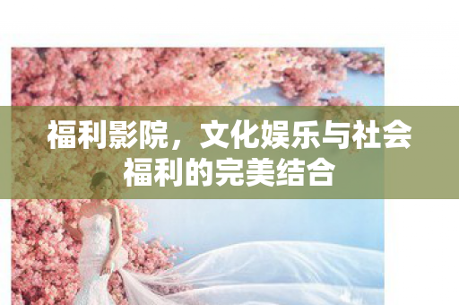 文化娱乐与社会福利的完美结合图片
