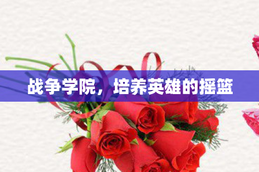 培养英雄的摇篮图片