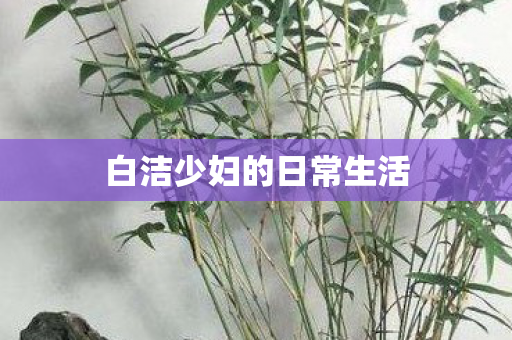 白洁少妇的日常生活图片