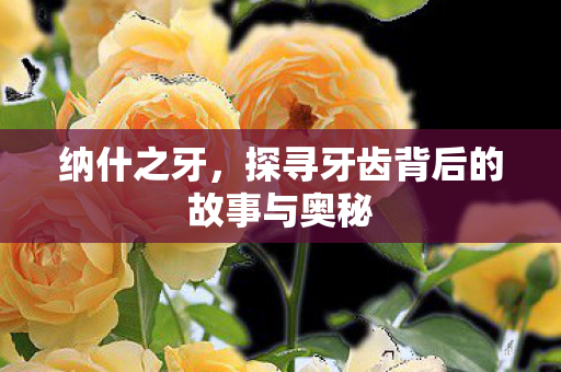 探寻牙齿背后的故事与奥秘图片