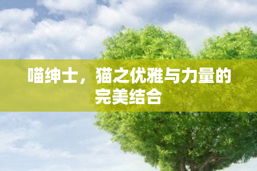 猫之优雅与力量的完美结合图片