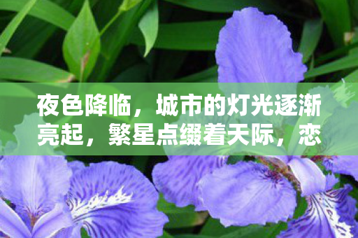 让我们一起来探讨这个充满魅力的主题图片
