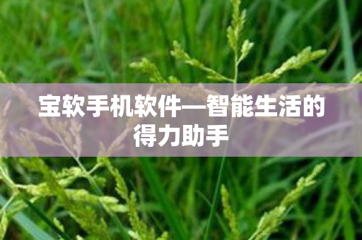 智能生活的得力助手图片